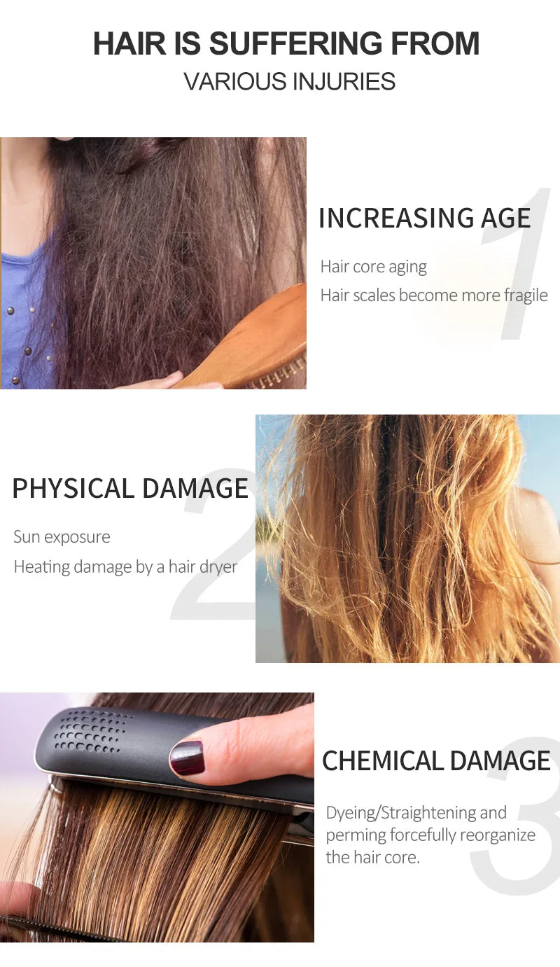 Layden Pure Argan Oil Moisturizes and Conditions Scalp Roots and Strands to Help Support Thick, Full, Healthy-looking Hair